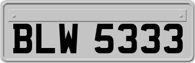 BLW5333