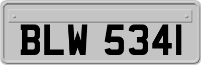 BLW5341