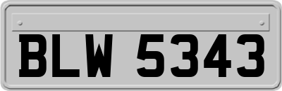 BLW5343