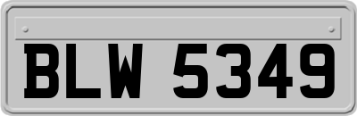BLW5349