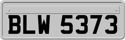 BLW5373