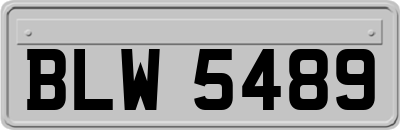 BLW5489