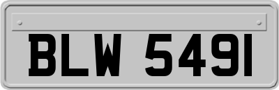 BLW5491