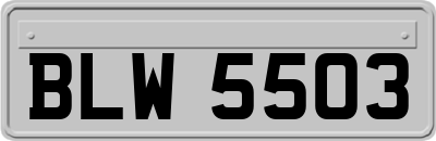 BLW5503