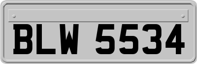 BLW5534