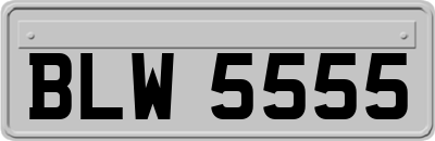 BLW5555