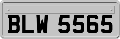 BLW5565