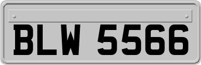 BLW5566