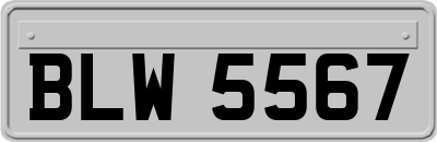 BLW5567