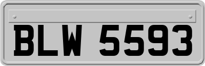 BLW5593