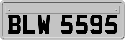 BLW5595