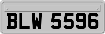 BLW5596