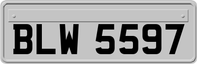 BLW5597