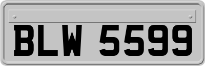 BLW5599