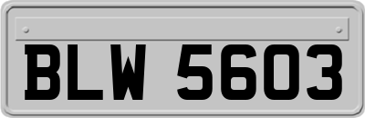 BLW5603