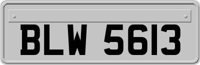 BLW5613