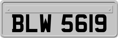 BLW5619