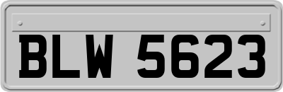 BLW5623