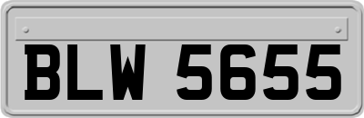 BLW5655