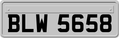 BLW5658