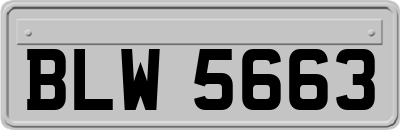 BLW5663