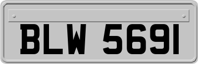 BLW5691