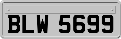 BLW5699