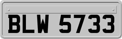 BLW5733