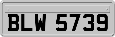 BLW5739