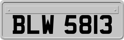 BLW5813