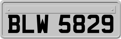 BLW5829
