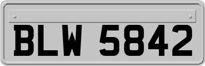 BLW5842