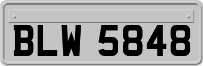 BLW5848