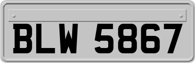BLW5867