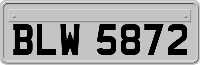 BLW5872