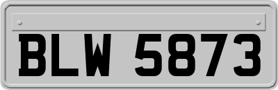 BLW5873