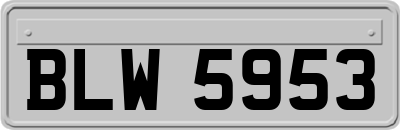 BLW5953
