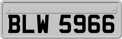 BLW5966