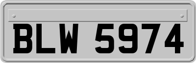 BLW5974