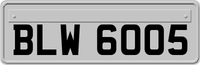 BLW6005