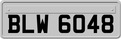 BLW6048