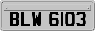 BLW6103