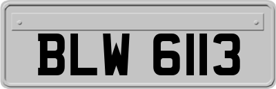 BLW6113