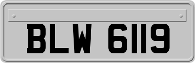 BLW6119