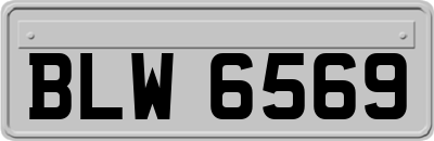 BLW6569
