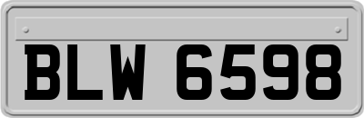 BLW6598
