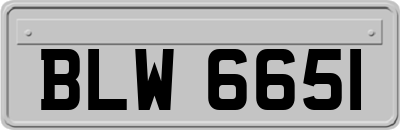 BLW6651