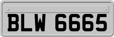 BLW6665