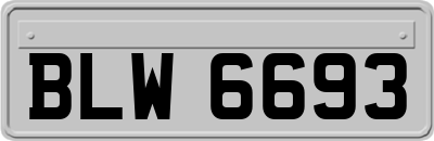 BLW6693