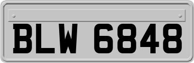 BLW6848